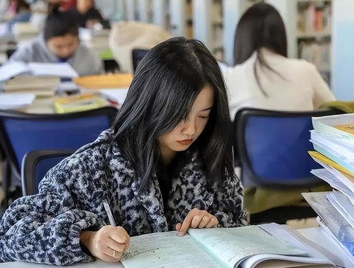 4大 天坑专业 逆袭了,或成考公香饽饽,文科生感觉大快人心