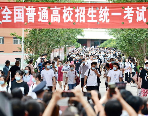 成考和高考学历区别大 领识教育说这项作用大多数人想不到