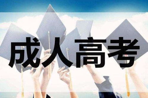 参加山东成人高考该如何选择辅导班