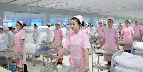 护理专业中专怎么报考大专