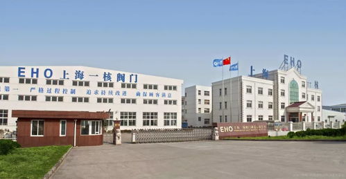 百万千瓦级压水堆核电厂核安全二级电动闸阀 截止阀等产品鉴定会顺利召开