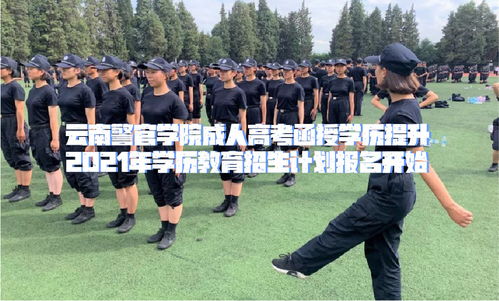 云南警官学院成人高考函授学历提升招生