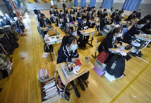 史上最长寒假落幕，招远学子回归课堂备战高考