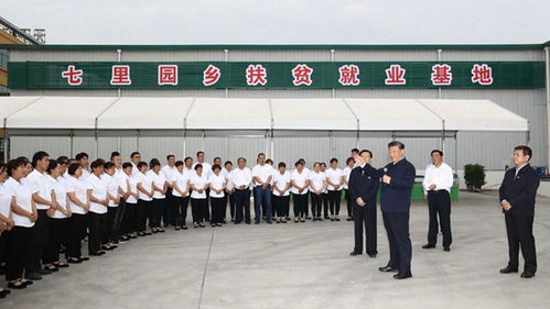 为民分忧 与民同乐——招远成人高考助力梦想启航