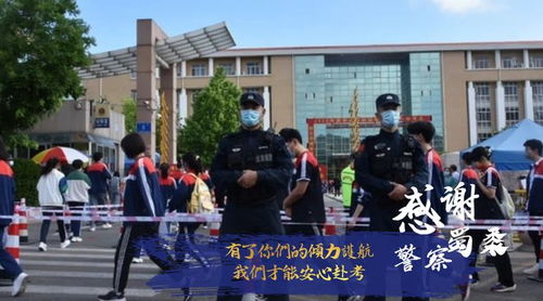 招远2022年高考圆满落幕 青春不散场，未来皆可期