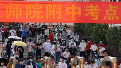 高考落幕，青春启航 招远成人高考开启人生新篇章